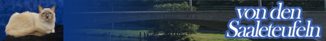 von den Saaleteufeln